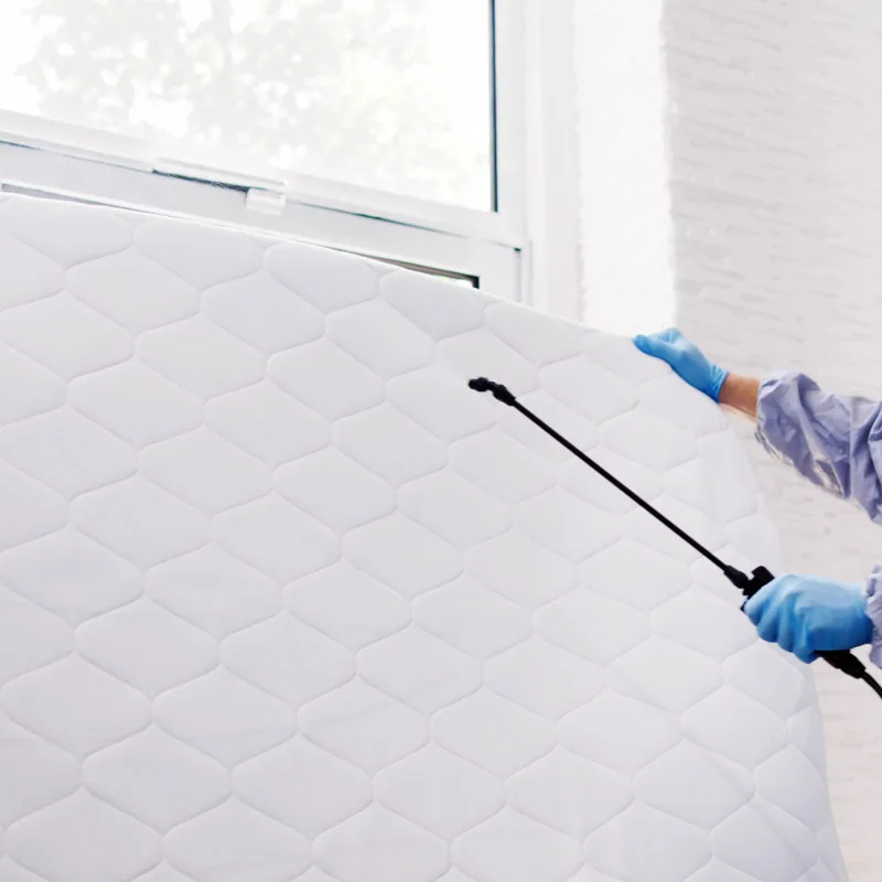 Madison, WI Bed Bug Pest Control Services